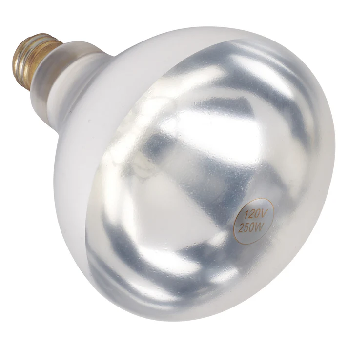 Shatter-Resistant Bulb, 250W, Clear