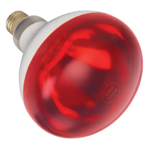 [EHL-BR] Shatter-Resistant Bulb, 250W, Red SKU: EHL-BR